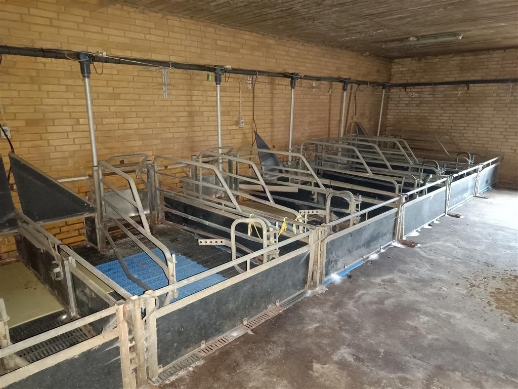 Sonstiges του τύπου Sonstige Sdr Vissing  Farestier 36 stk., Gebrauchtmaschine σε Egtved (Φωτογραφία 10)