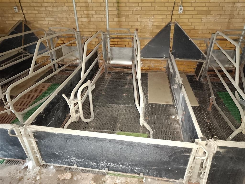 Sonstiges του τύπου Sonstige Sdr Vissing  Farestier 36 stk., Gebrauchtmaschine σε Egtved (Φωτογραφία 2)