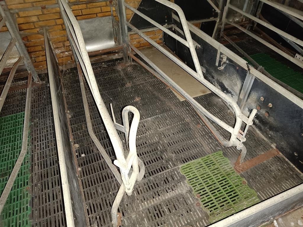 Sonstiges του τύπου Sonstige Sdr Vissing  Farestier 36 stk., Gebrauchtmaschine σε Egtved (Φωτογραφία 3)