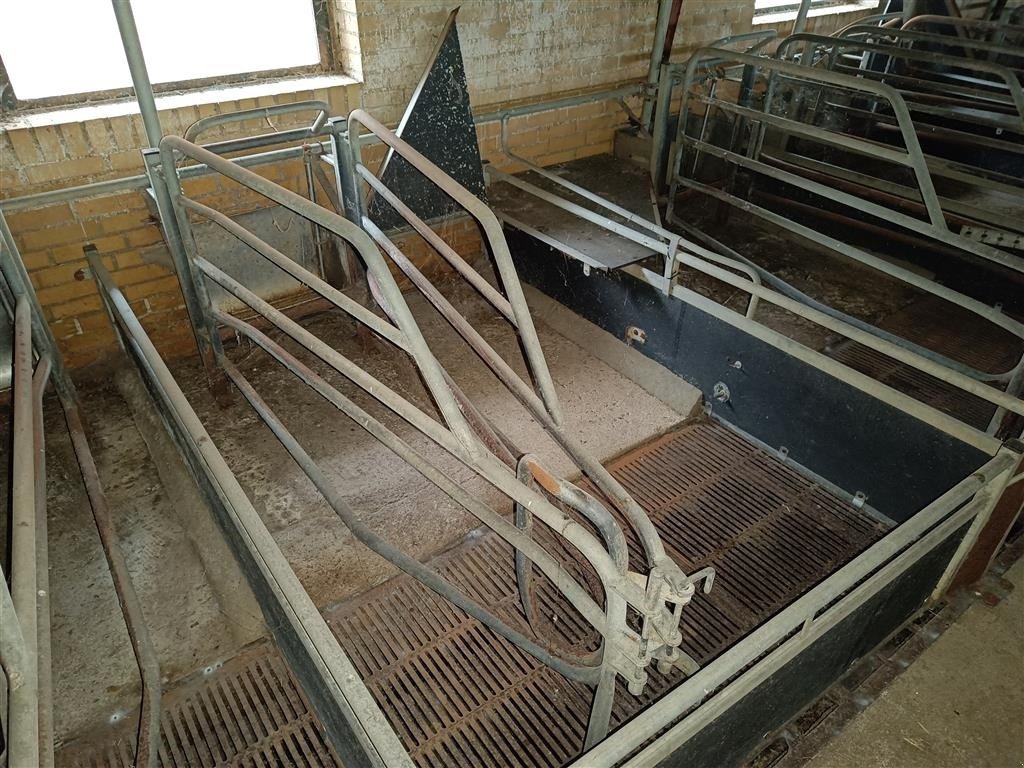 Sonstiges des Typs Sonstige Sdr Vissing  Farestier 40 stk., Gebrauchtmaschine in Egtved (Bild 3)