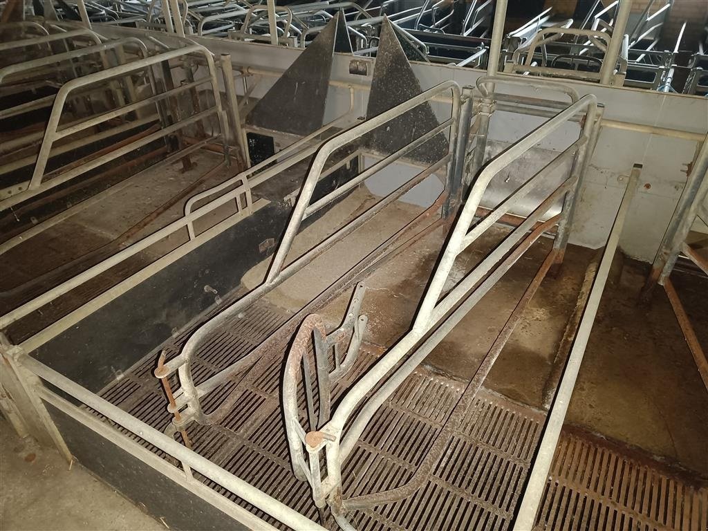 Sonstiges des Typs Sonstige Sdr Vissing  Farestier 40 stk., Gebrauchtmaschine in Egtved (Bild 2)