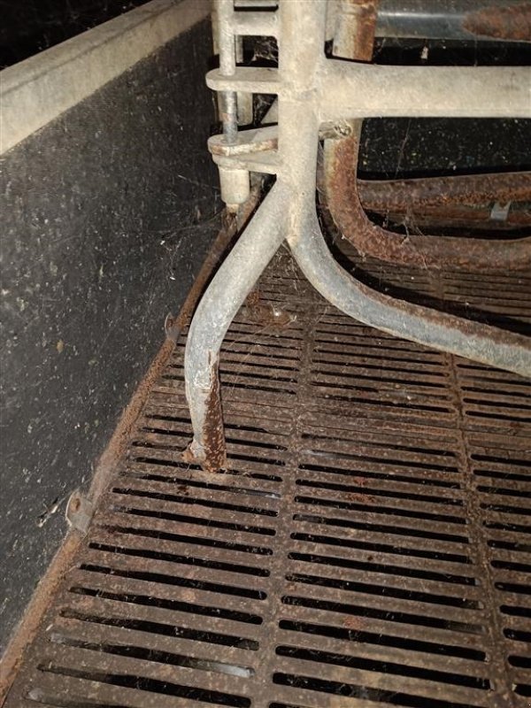 Sonstiges des Typs Sonstige Sdr Vissing  Farestier 40 stk., Gebrauchtmaschine in Egtved (Bild 4)