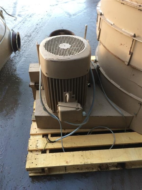 Sonstiges of the type Sonstige Sigma 1004 Rensemaskine Damas Sigma 1004, Gebrauchtmaschine in Egtved (Picture 4)