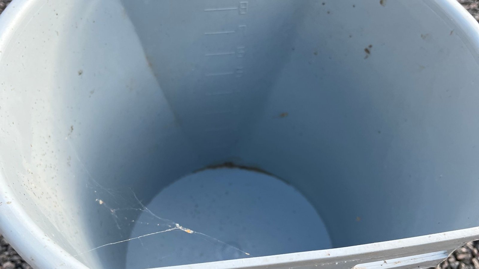 Sonstiges des Typs Sonstige Suttespande til kalve, Gebrauchtmaschine in Egtved (Bild 4)