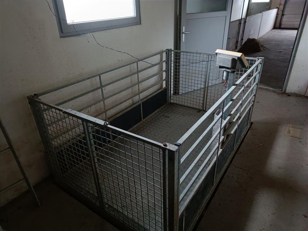 Sonstiges of the type Sonstige Svinevægt Brovægt til grise digital   MOMSFRI, Gebrauchtmaschine in Egtved (Picture 2)