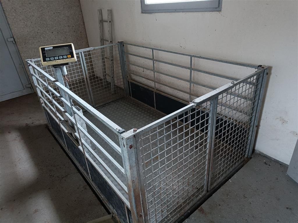 Sonstiges of the type Sonstige Svinevægt Brovægt til grise digital   MOMSFRI, Gebrauchtmaschine in Egtved (Picture 1)