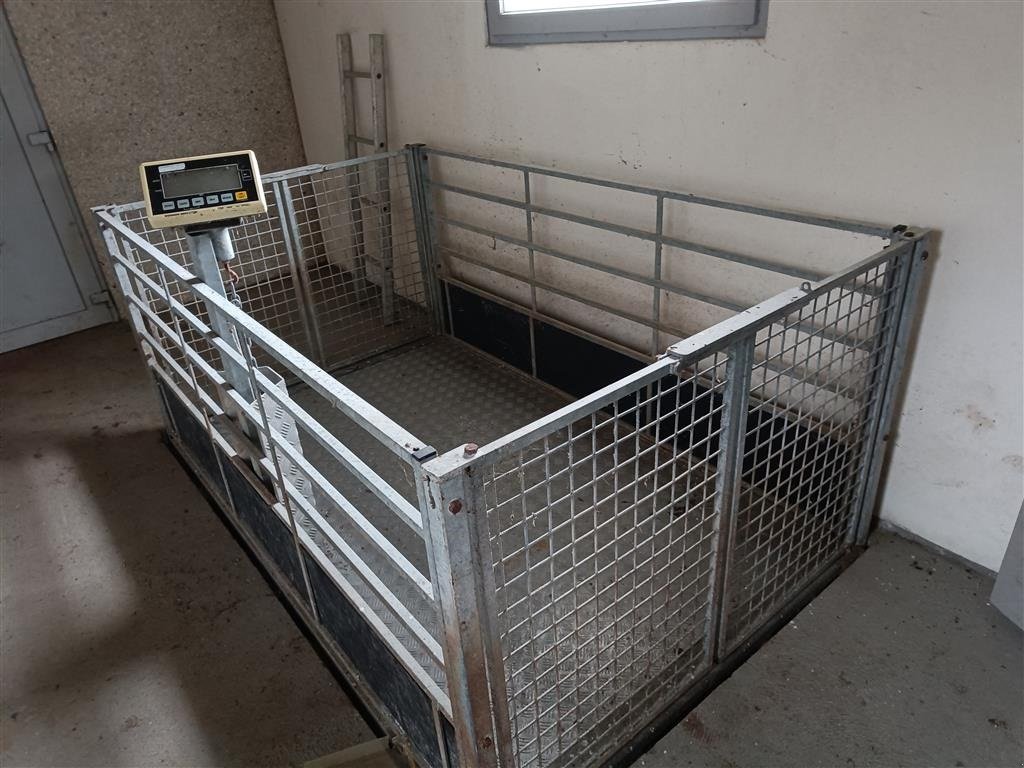 Sonstiges of the type Sonstige Svinevægt Brovægt til grise digital   MOMSFRI, Gebrauchtmaschine in Egtved (Picture 3)