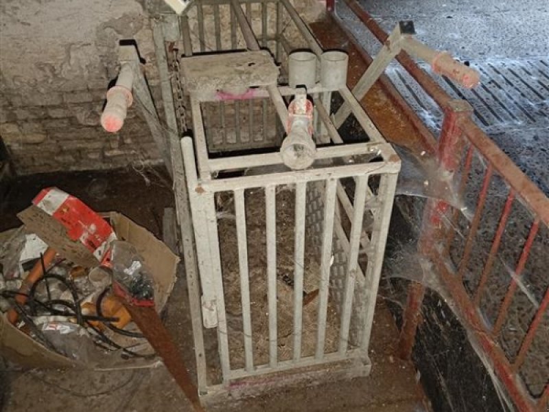 Sonstiges tipa Sonstige Svinevægt digital, Gebrauchtmaschine u Egtved (Slika 1)