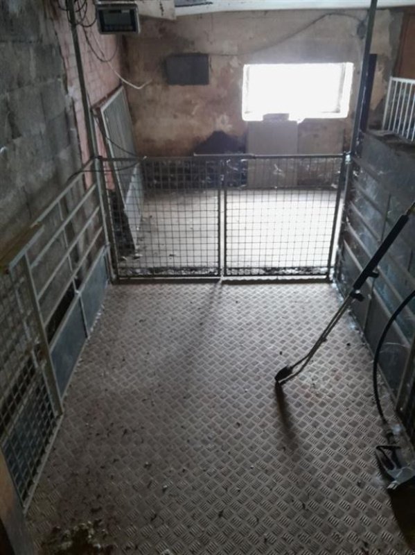 Sonstiges des Typs Sonstige Svinevægt Dyre-/grisevægt 170 x 210, Gebrauchtmaschine in Egtved (Bild 1)