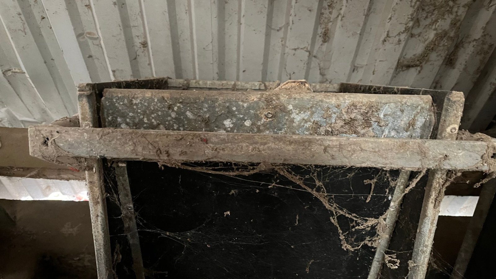 Sonstiges typu Sonstige til kvæg, Gebrauchtmaschine v Egtved (Obrázek 7)