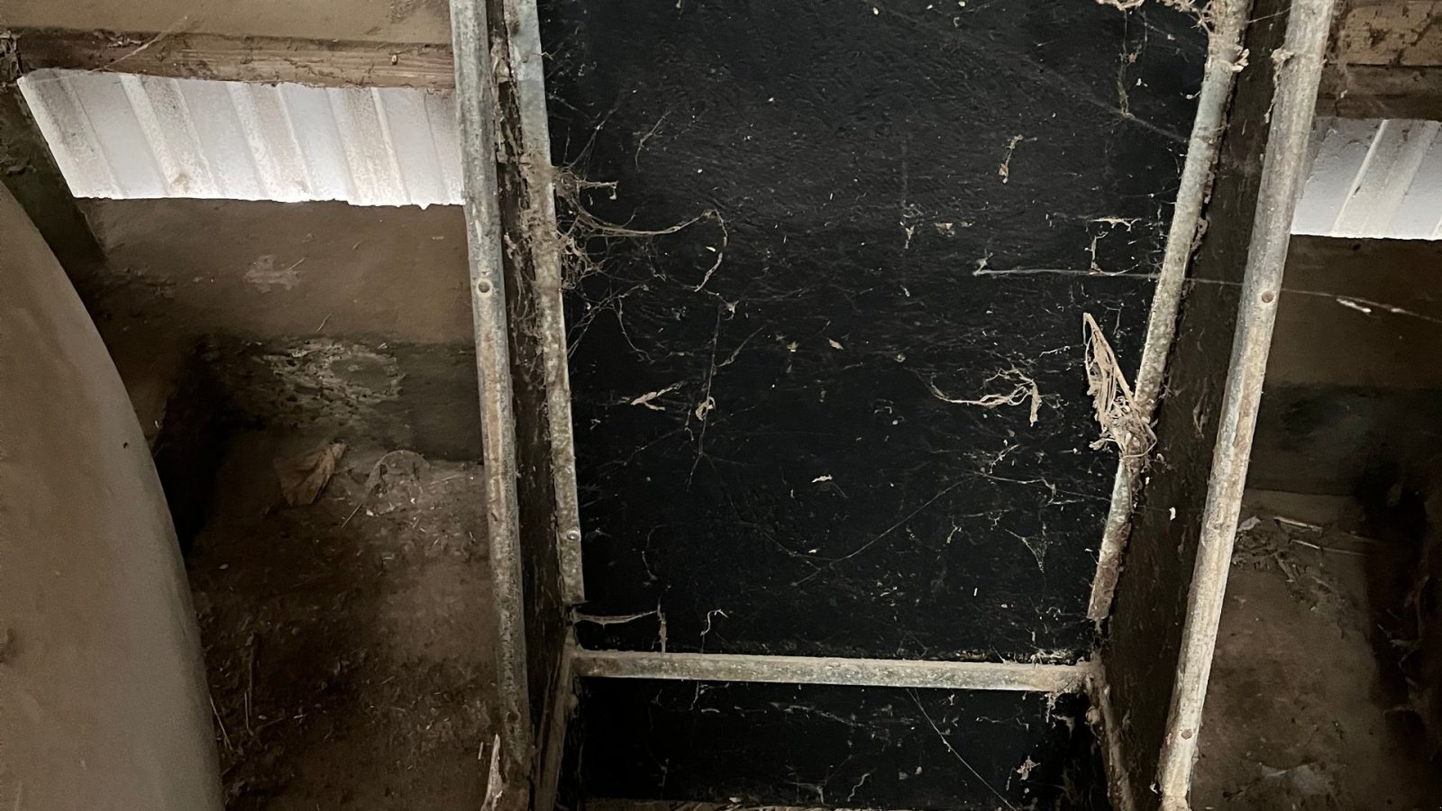 Sonstiges typu Sonstige til kvæg, Gebrauchtmaschine v Egtved (Obrázek 5)