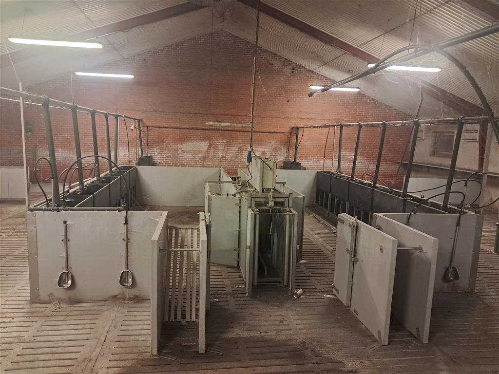 Sonstiges typu Sonstige Til slagtesvin, Gebrauchtmaschine v Viborg (Obrázek 2)