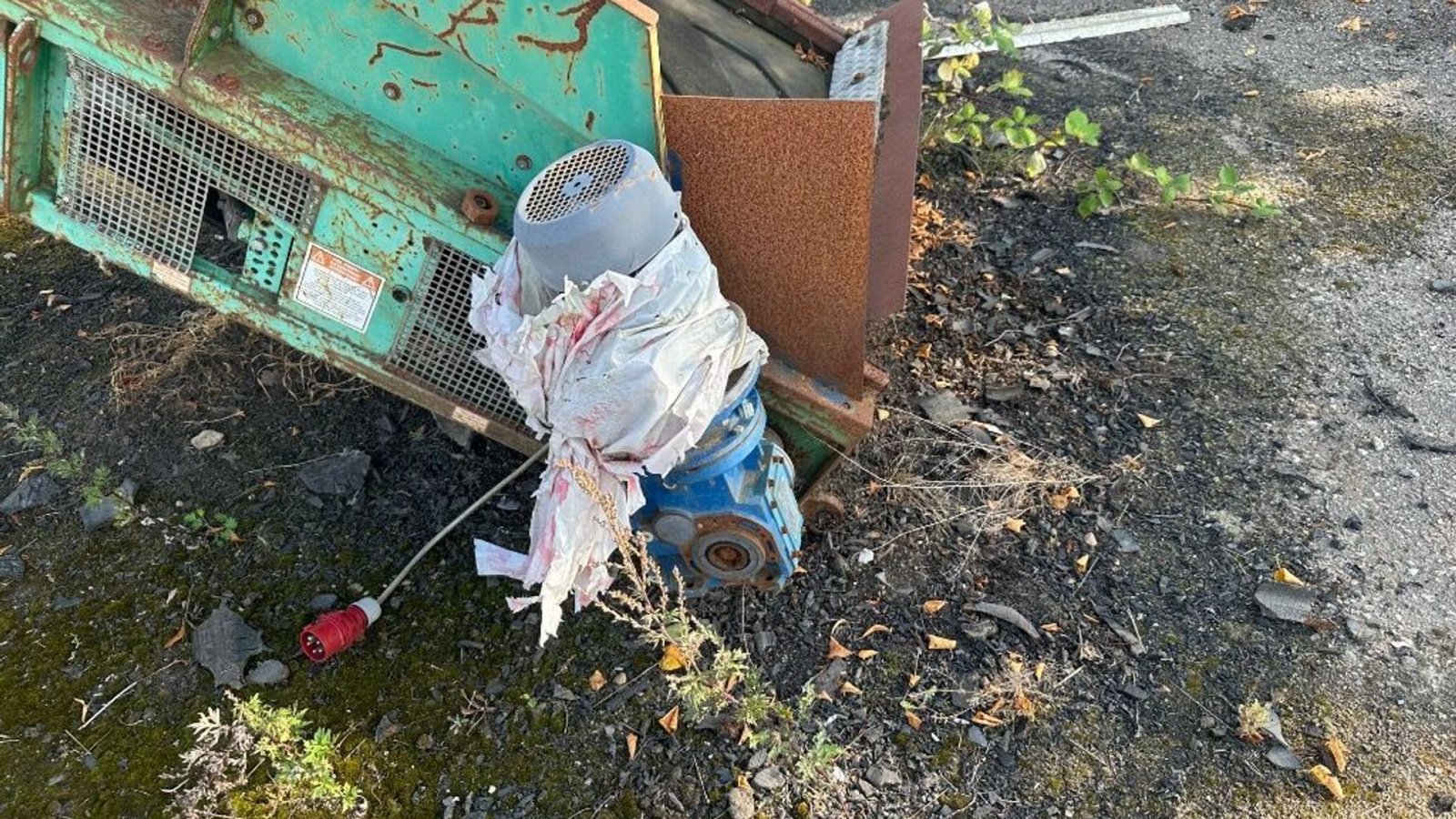 Sonstiges of the type Sonstige Transport bånd, Gebrauchtmaschine in Rødovre (Picture 3)