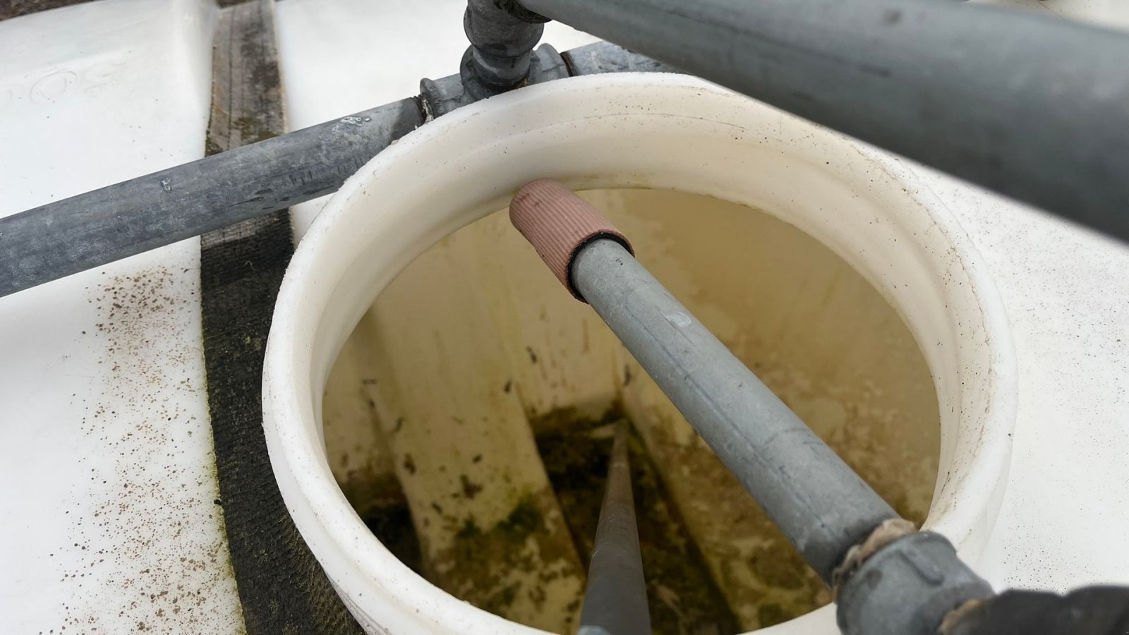 Sonstiges del tipo Sonstige Vandvogn, Gebrauchtmaschine en Lintrup (Imagen 7)