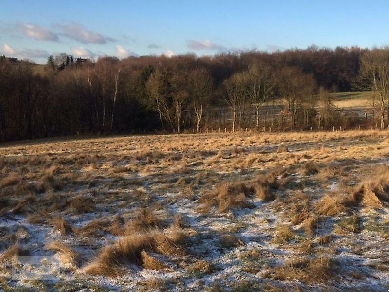 Sonstiges of the type Sonstige Weide, Wiese,Ackerland,Kapitalanlage! Bauerwartungsland?Bauland?, Gebrauchtmaschine in Gevelsberg (Picture 2)