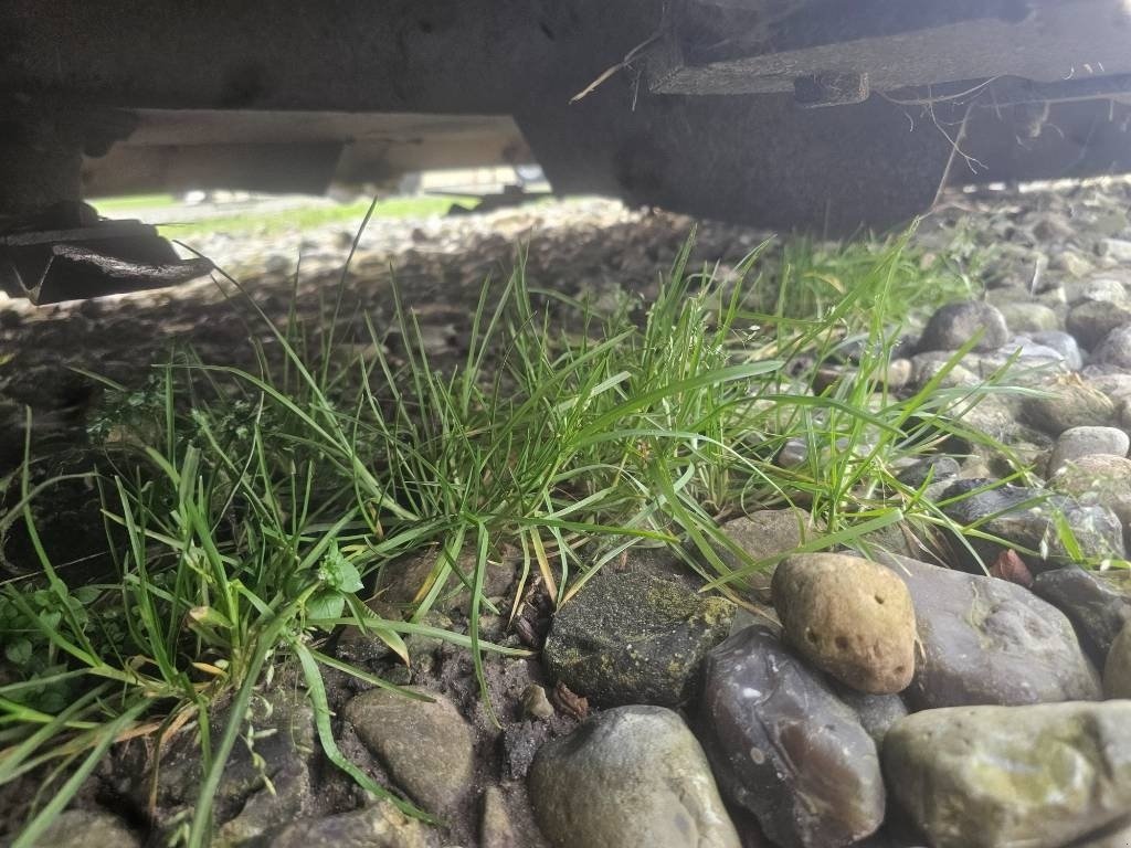 Sonstiges des Typs Spearhead 3 m rotorklipper, Gebrauchtmaschine in Ringe (Bild 5)