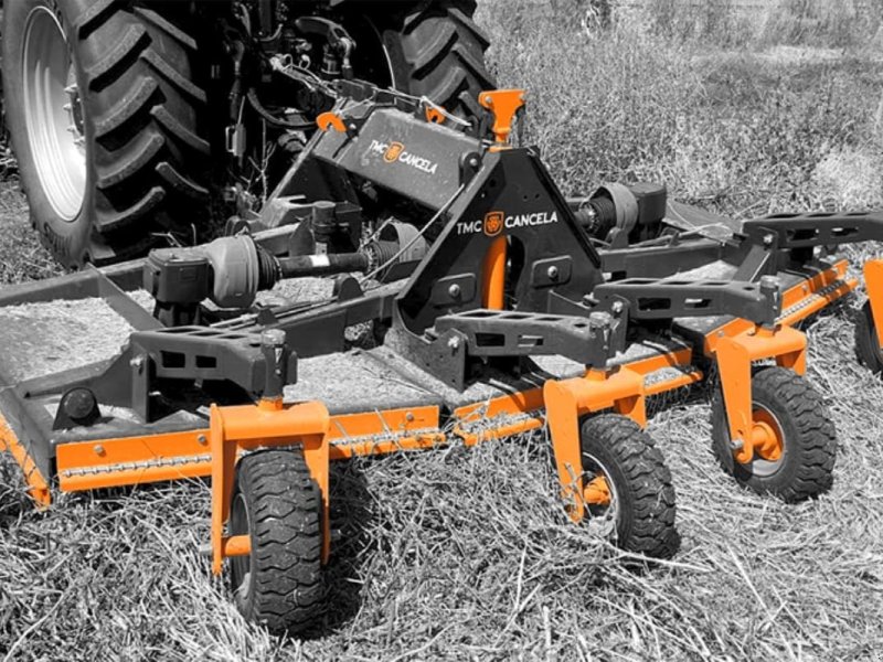 Sonstiges Türe ait TMC Cancela DXP3-450, Gebrauchtmaschine içinde Grindsted (resim 1)