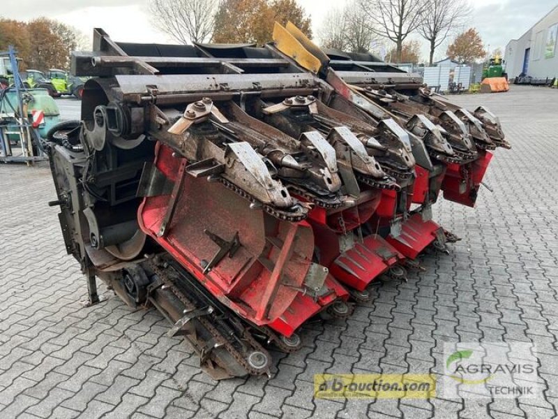 Sonstiges des Typs Ziegler MAISPFLÜCKER, Gebrauchtmaschine in Meppen (Bild 2)