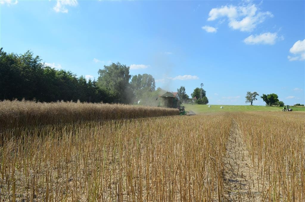 Sonstiges des Typs Ziegler Raps sidekniv, Gebrauchtmaschine in Vissenbjerg (Bild 4)