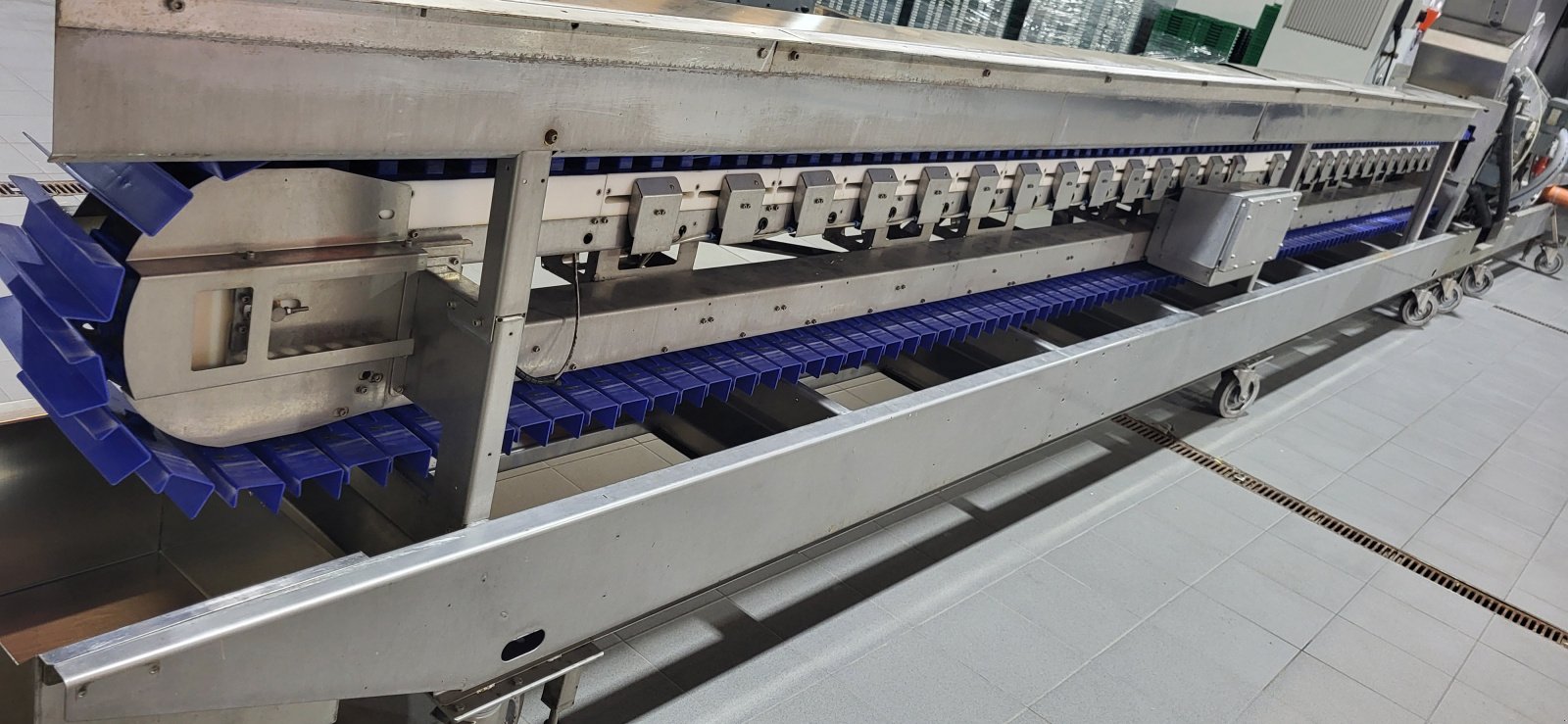 Spargel Reinigungs und Sortierband van het type Neubauer Espaso S 28, Gebrauchtmaschine in Warendorf (Foto 3)