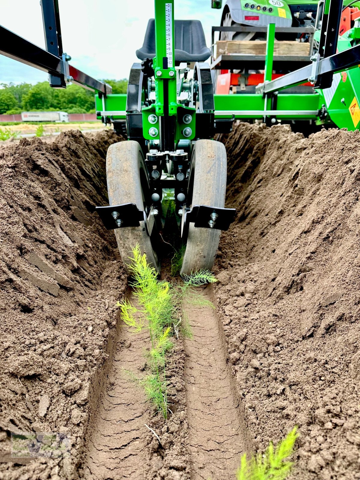 Spargeltopfpflanzmaschine Türe ait Sfoggia STP Spargelpflanzmaschine, Neumaschine içinde Ebersberg (resim 2)