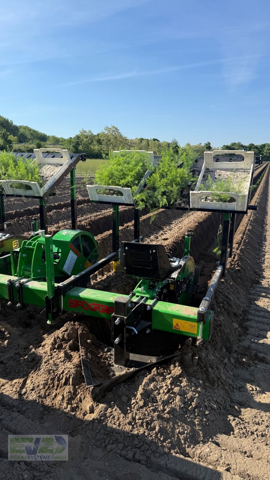 Spargeltopfpflanzmaschine Türe ait Sfoggia STP Spargelpflanzmaschine, Neumaschine içinde Ebersberg (resim 4)