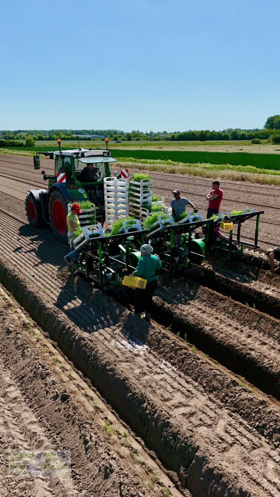 Spargeltopfpflanzmaschine Türe ait Sfoggia STP Spargelpflanzmaschine, Neumaschine içinde Ebersberg (resim 8)