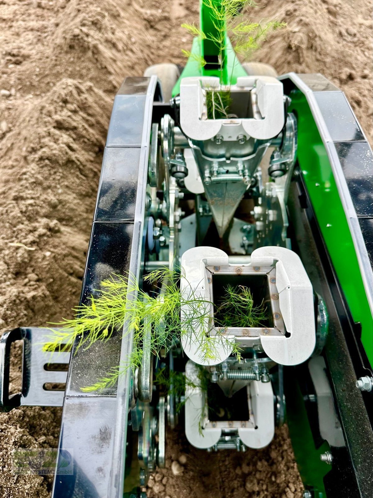 Spargeltopfpflanzmaschine Türe ait Sfoggia STP Spargelpflanzmaschine, Neumaschine içinde Ebersberg (resim 9)