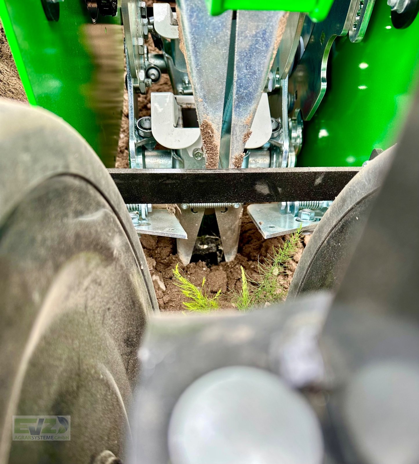 Spargeltopfpflanzmaschine Türe ait Sfoggia STP Spargelpflanzmaschine, Neumaschine içinde Ebersberg (resim 10)