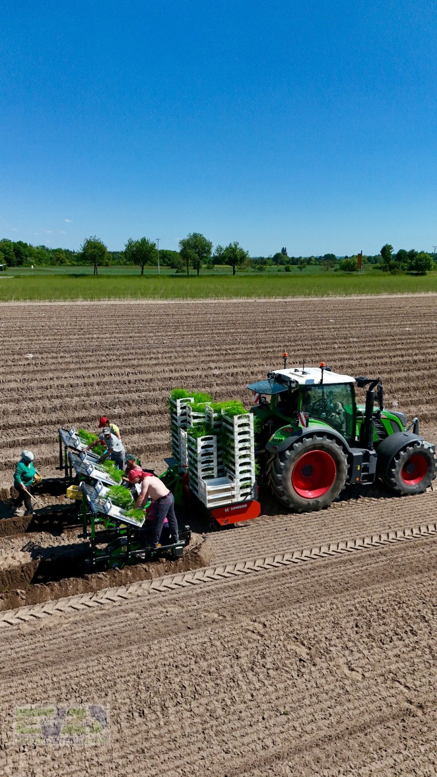 Spargeltopfpflanzmaschine Türe ait Sfoggia STP Spargelpflanzmaschine, Neumaschine içinde Ebersberg (resim 11)