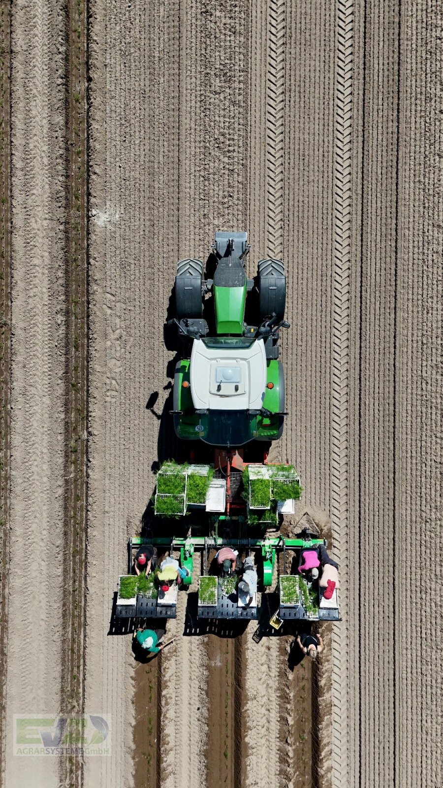 Spargeltopfpflanzmaschine Türe ait Sfoggia STP Spargelpflanzmaschine, Neumaschine içinde Ebersberg (resim 12)