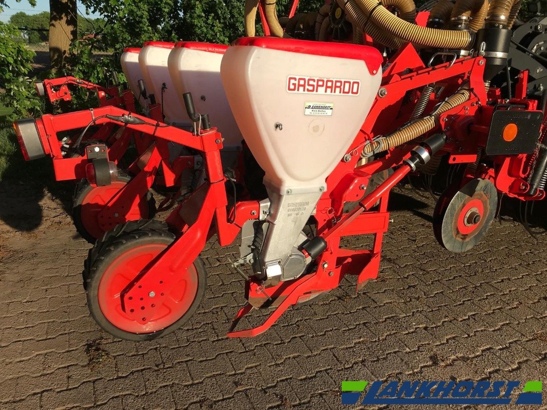 Spatenpflug типа Imants Drillkombination Maschio Gaspardo, Imants 38WX, Gebrauchtmaschine в Klein Berßen (Фотография 12)