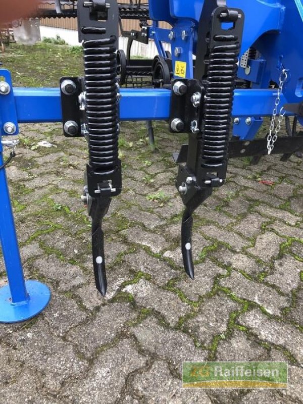 Spatenrollegge tipa Rabe Sturmvogel 4501 LK, Gebrauchtmaschine u Heitersheim (Slika 5)