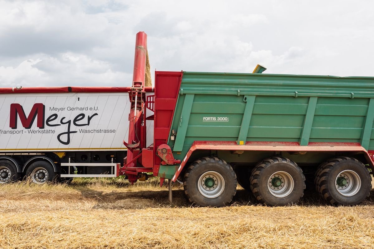 Stalldungstreuer des Typs Farmtech FORTIS 3000, Neumaschine in Rovisce (Bild 7)