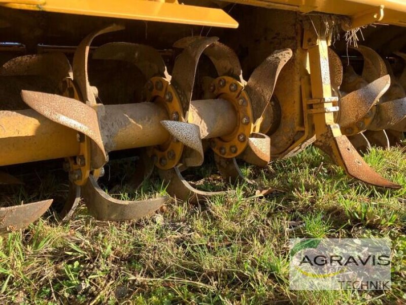 Stockfräse typu Alpego ROTOZAPPA FZ 300, Gebrauchtmaschine v Uelzen (Obrázek 5)