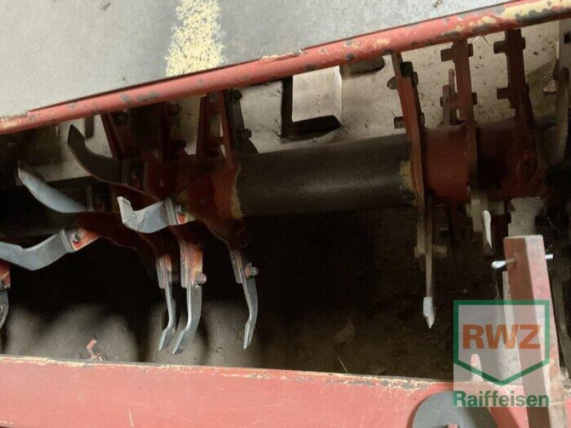 Stockfräse des Typs Grimme DF30000, Gebrauchtmaschine in Mutterstadt (Bild 8)