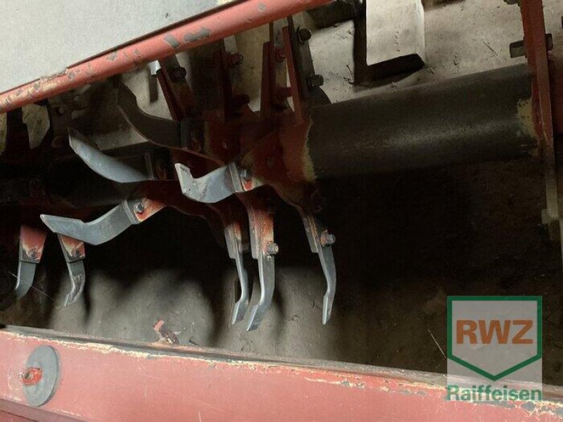 Stockfräse des Typs Grimme DF30000, Gebrauchtmaschine in Mutterstadt (Bild 11)