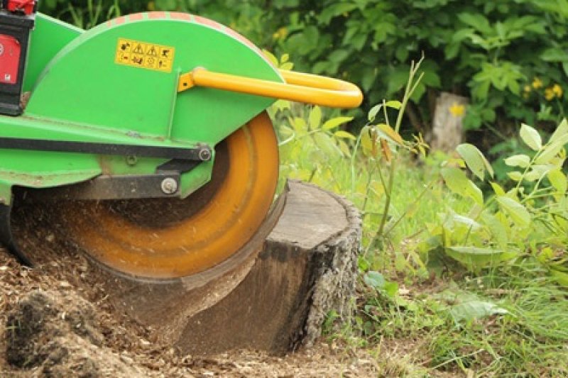 Stockfräse des Typs laski F 460E/27, Gebrauchtmaschine in Vrå (Bild 4)