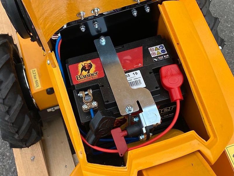 Stockfräse des Typs laski Stubbenfräse Stockfräse Baumstumpffräse Wurzelstockfräse, Gebrauchtmaschine in Schmallenberg (Bild 17)