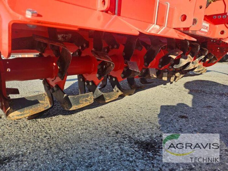 Stockfräse typu Maschio SC 280, Gebrauchtmaschine v Fröndenberg (Obrázek 11)