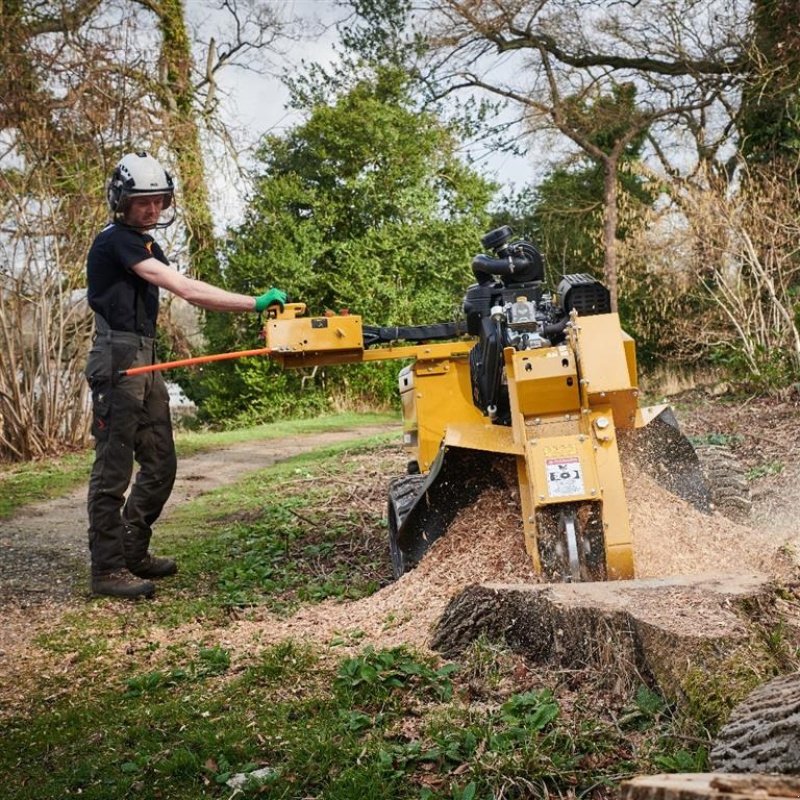 Stockfräse des Typs Rayco RG37 4WD Stubfræser, Gebrauchtmaschine in Fredericia (Bild 3)