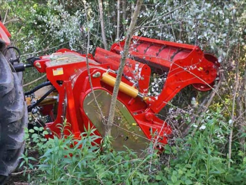 Stockfräse des Typs Seppi Starsoil 225, Gebrauchtmaschine in Vrå (Bild 6)