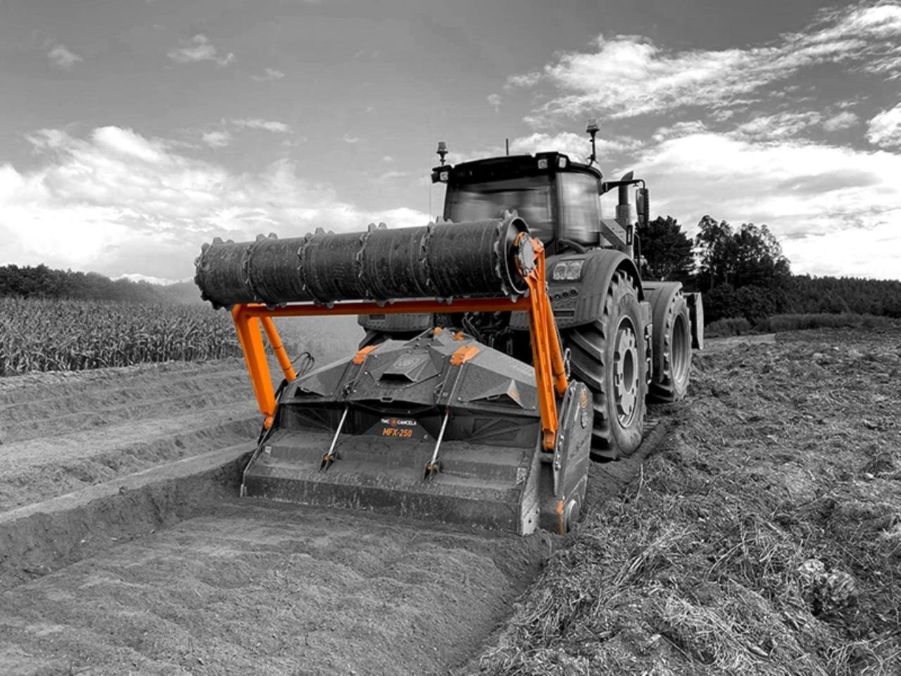 Stockfräse tip TMC Cancela MFX 250, Gebrauchtmaschine in Grindsted (Poză 2)