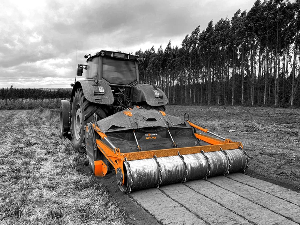 Stockfräse tip TMC Cancela MFX 250, Gebrauchtmaschine in Grindsted (Poză 1)