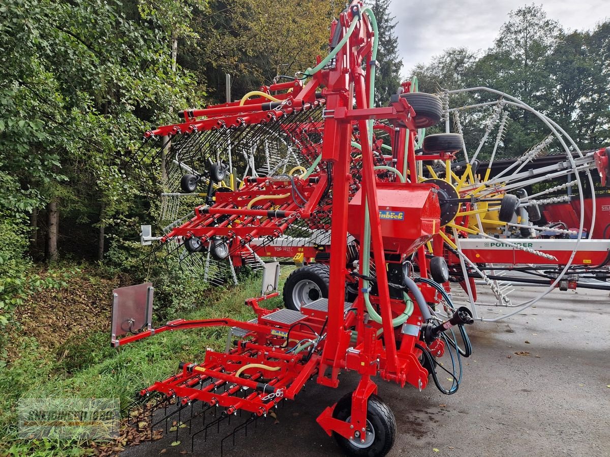 Striegel mit Nachsaateinrichtung Türe ait Einböck PNEUMATICSTAR 900 STI, Gebrauchtmaschine içinde Altenfelden (resim 2)