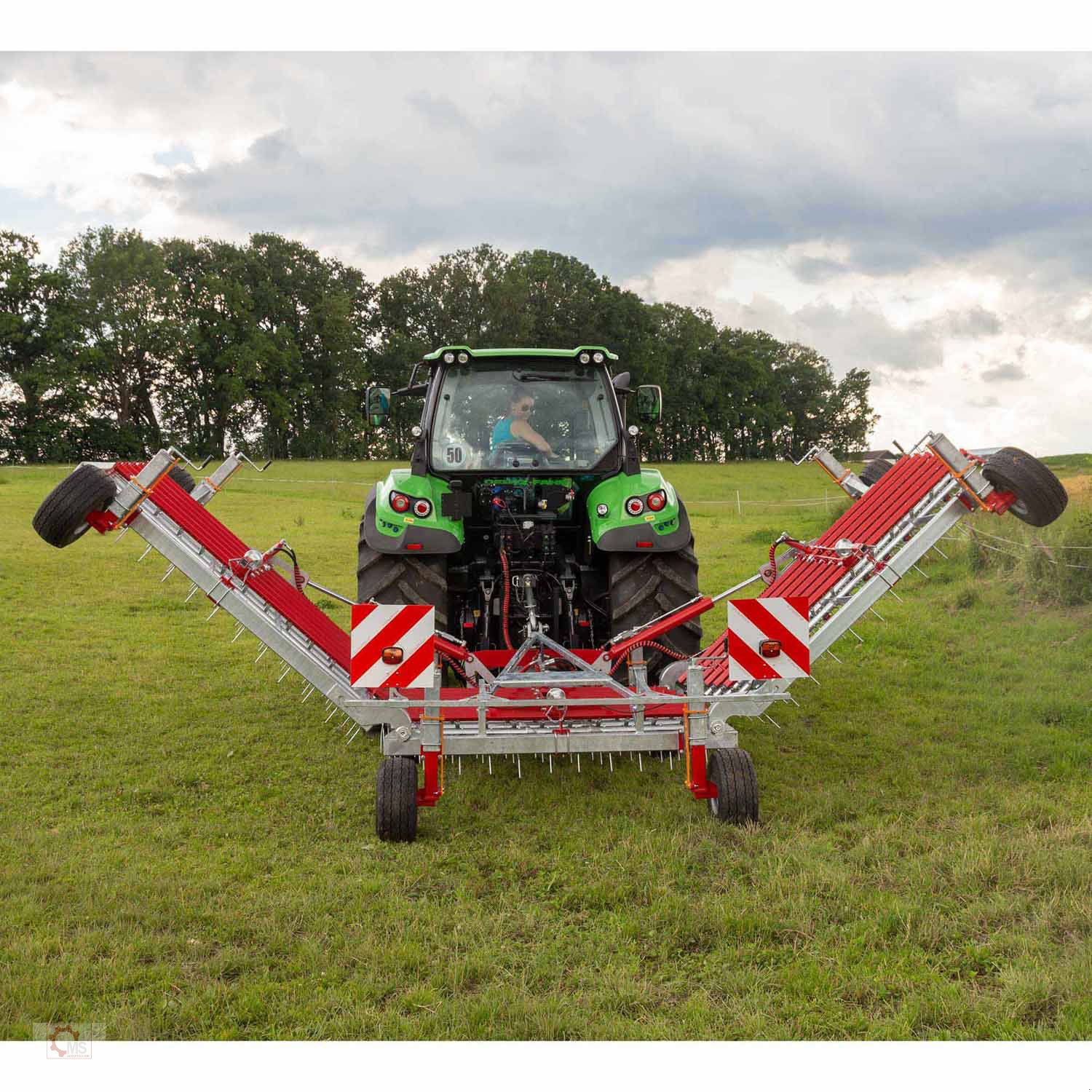 Striegel mit Nachsaateinrichtung tip Fliegl Striegel STR 610 Grünlandstriegel Wiesenstriegel, Neumaschine in Tiefenbach (Poză 5)