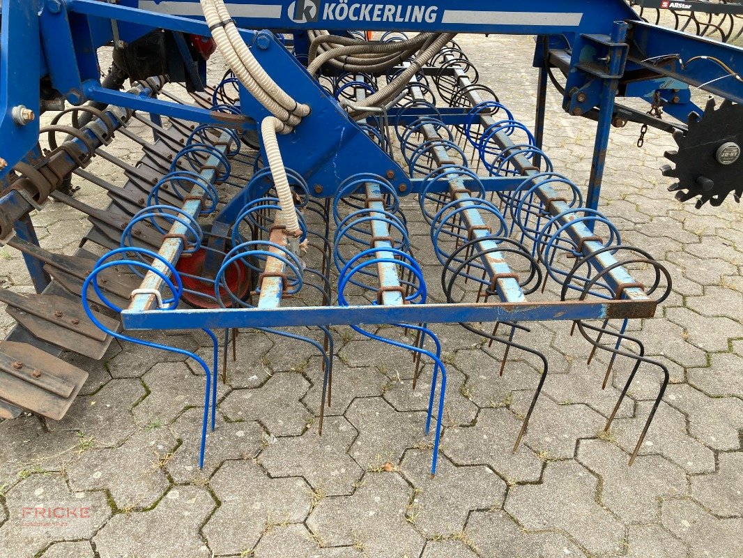 Striegel mit Nachsaateinrichtung Türe ait Köckerling GrasMaster 600, Gebrauchtmaschine içinde Bockel - Gyhum (resim 8)