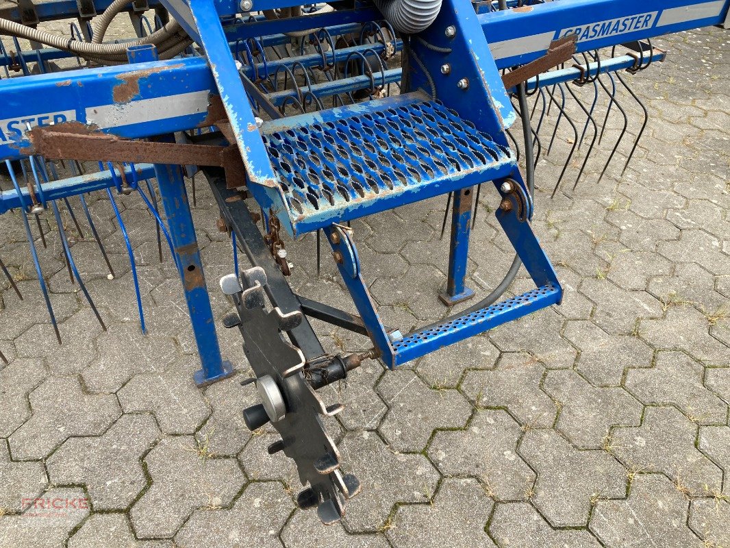 Striegel mit Nachsaateinrichtung Türe ait Köckerling GrasMaster 600, Gebrauchtmaschine içinde Bockel - Gyhum (resim 10)