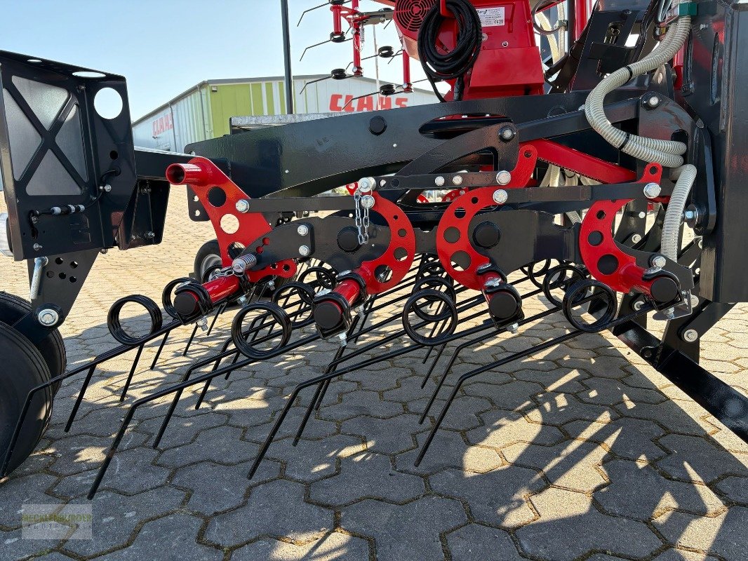 Striegel mit Nachsaateinrichtung Türe ait Saphir KS 600 Perfekt Konturstriegel, Neumaschine içinde Mühlengeez (resim 9)