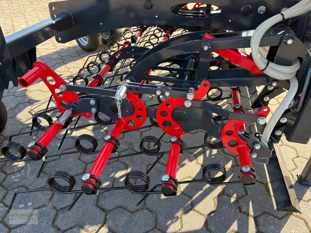 Striegel mit Nachsaateinrichtung Türe ait Saphir KS 600 Perfekt Konturstriegel, Neumaschine içinde Mühlengeez (resim 10)